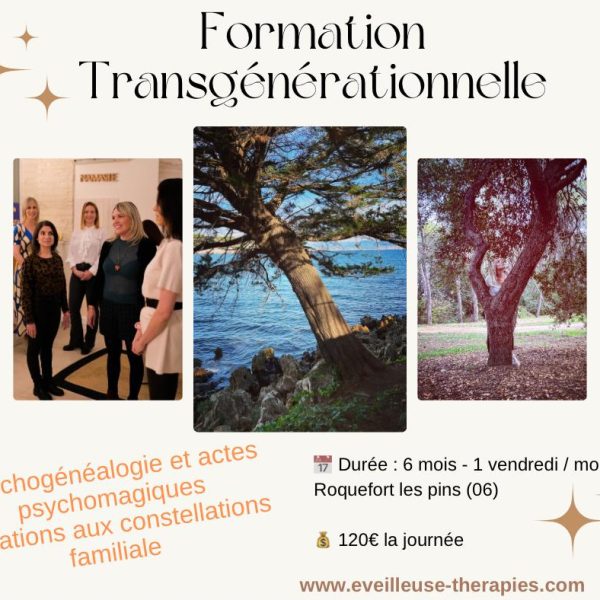 formationtransgenerationnelle